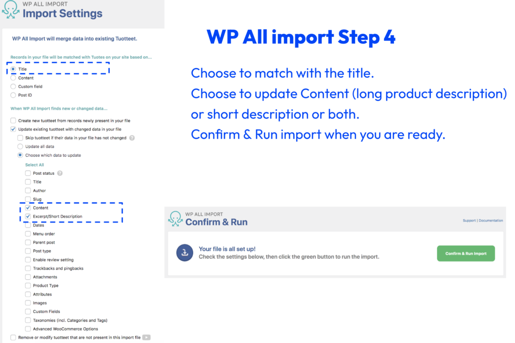 WP All import Step 4