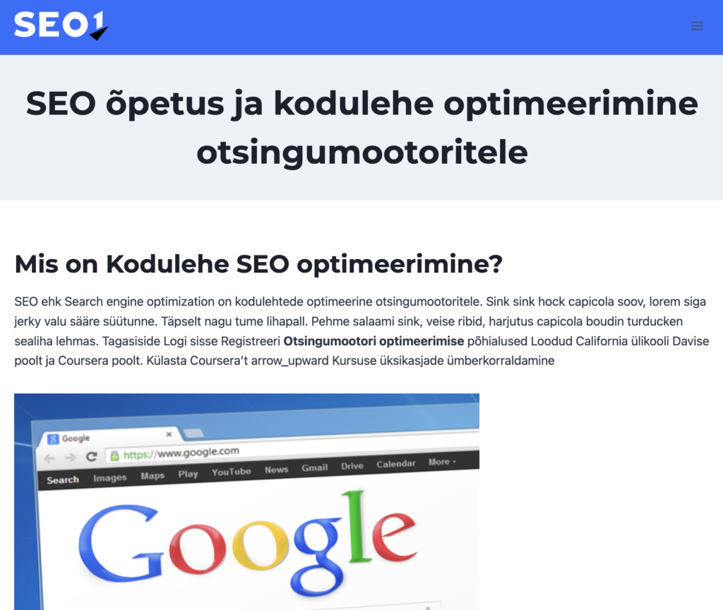 Marten Saarin SEO-koulutus